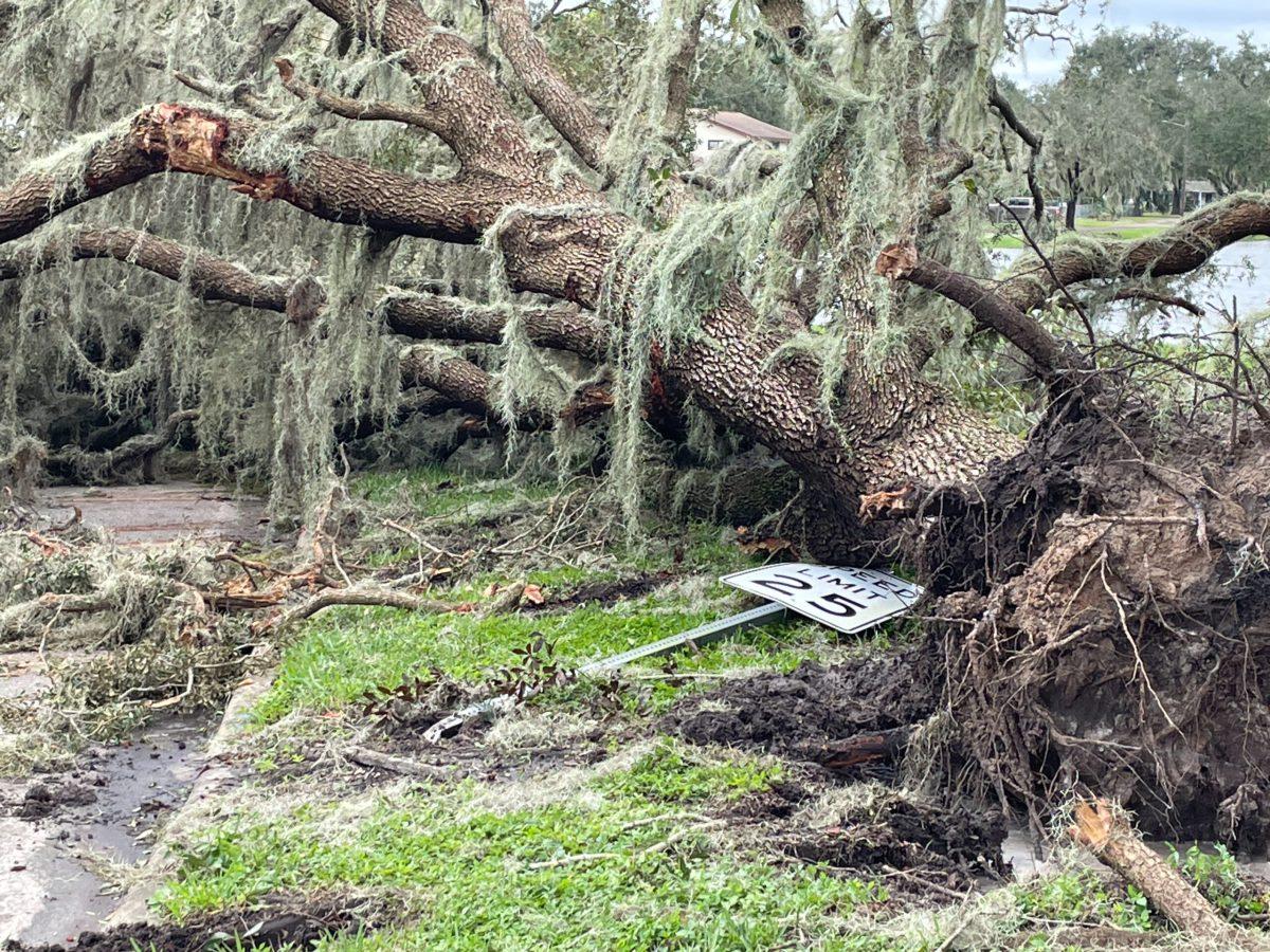 The Fallout of Hurricane Ian