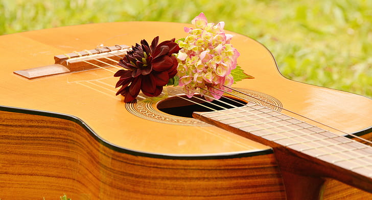 Image of guitar from Creative Commons