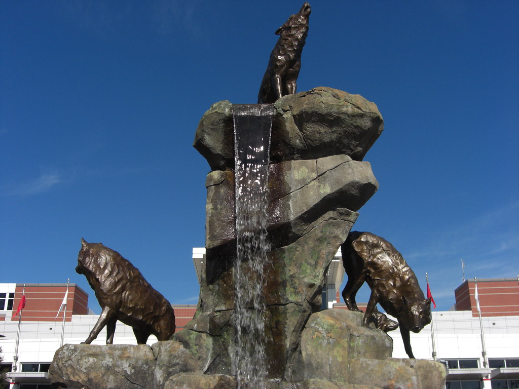 Image of wolf statue at Carter Finley Stadium from Creative Commons