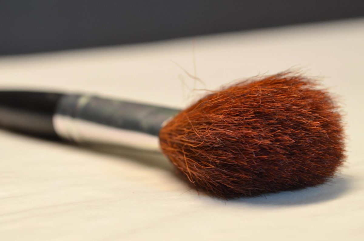 Image of makeup brush from Creative Commons